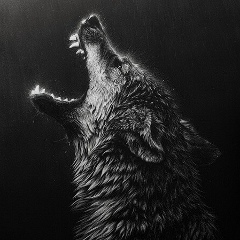 Sadam Astamirov, 09.12, Москва