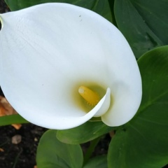 Виталина Иванова, 19.11