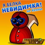 Трагедия Белок, 31.03, Новосибирск