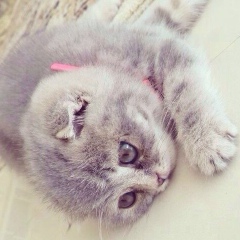 Аза Нохчиева, 28.12.1996, Грозный