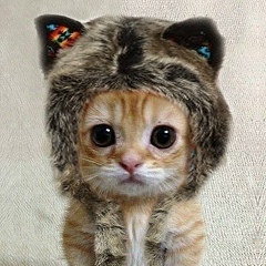 Стас Николаевич, 30.11.1980, Запорожье