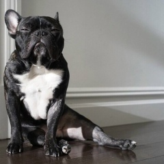 Наталья Мельникова, 19.07, Санкт-Петербург