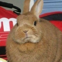 Федор Кончаков, 25.01, Долгопрудный