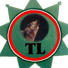 Магомед Исбахиев, 25.06.1991, Москва