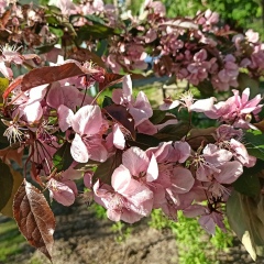 Екатерина Поджарова, 29.04, Санкт-Петербург