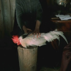 Евгения Вейдер