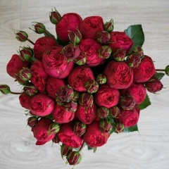 Tahmina Abdusatarova, 30.04.1991, Алматы