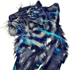 Денис Медведев, 15.07.1986