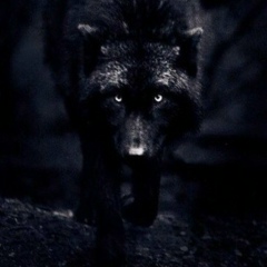 Аман Алиев, 28.02, Москва