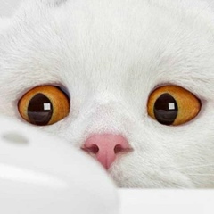 Оля Shine, Красноярск