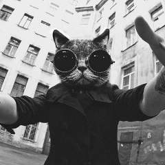 Стас Новиков, 01.08.1950, Севастополь