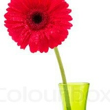 Natalka Syrotyuk, 27.05, Тернополь