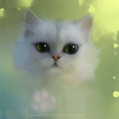 Аля Гайдук, 11.03, Днепр (Днепропетровск)