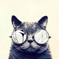 Константин Сиренко, Da Nang