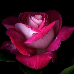 Катерина Фочкина, 02.08