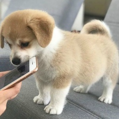 Arina Dorozhko, 12.10.2001