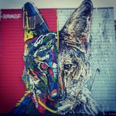 Rustem Aldongarov, 14.10.1989, Уральск