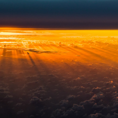 Тимка С, 12.01, Ташкент