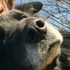 Евгений Ходаковский