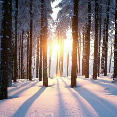 Магжан Аймаханов, 28.05, Шымкент