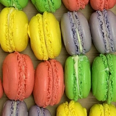 Ирина Можаева, 23.08.1981, Рыбинск