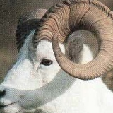 Дмитрий Роганов, 01.03.1976, Казань