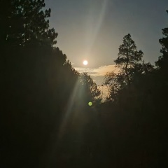 Тарас Иванов, 06.06.1985