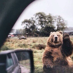 Юрий Черненко, 13.08, Сальск
