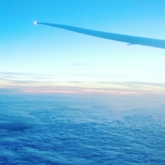 Дмитрий Лобанов, 16.08, Москва