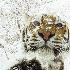 Дамир Сапабек, 18.10.1986, Шымкент