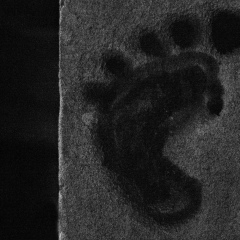 Геннадий Лосников, Бишкек