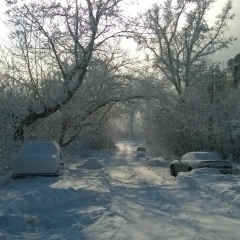 Артем Семенов, 02.11, Усть-Каменогорск