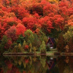 Серик Кузетов, 07.09.1980, Алматы