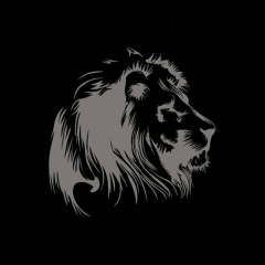 Максим Кузнецов, 24.11, Новосибирск