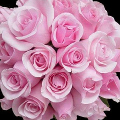 Акнура Балабаева, Астана