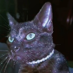 Екатерина Кяримова, 22.04, Нижний Тагил