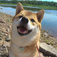 Алиса Бибигон, 03.12, Санкт-Петербург