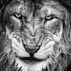 Ержан Нурбаев, 28.12.1991, Актау