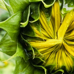 Ксения К, 28.03, Орехово-Зуево