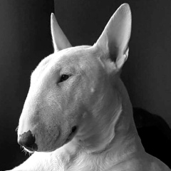 Cristian Para, 15.08.1998