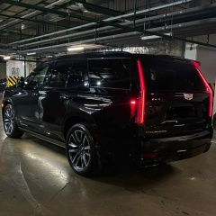 Александр Санчо, 17.02.1995, Москва