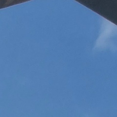 Олеся Московцева, 08.04.1987