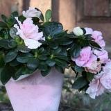 Ирина Видякина, 12.06, Киров