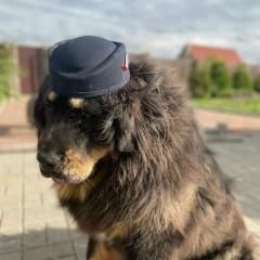 Алексей Алексеевич, 22.02.1941, Санкт-Петербург