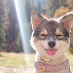 Aigerim Turarova, Актау