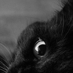 Анютка Астахова, 16.09.1989, Иркутск