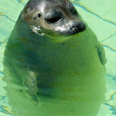 Евгений Жариков, 20.02.1985, Москва