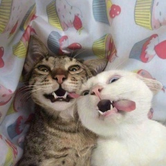 Наталья Золотухина, 13.12, Ханты-Мансийск