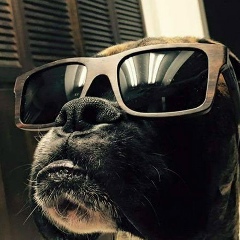 Игорь Осипов, 14.11, Уфа