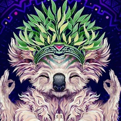 Алексей Хз, Самара